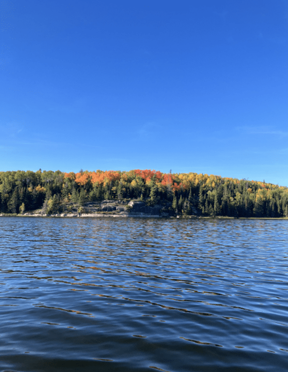 Nature Lake