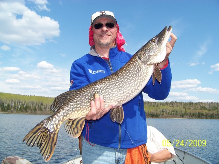 Man Showing Fresh Catch Fish