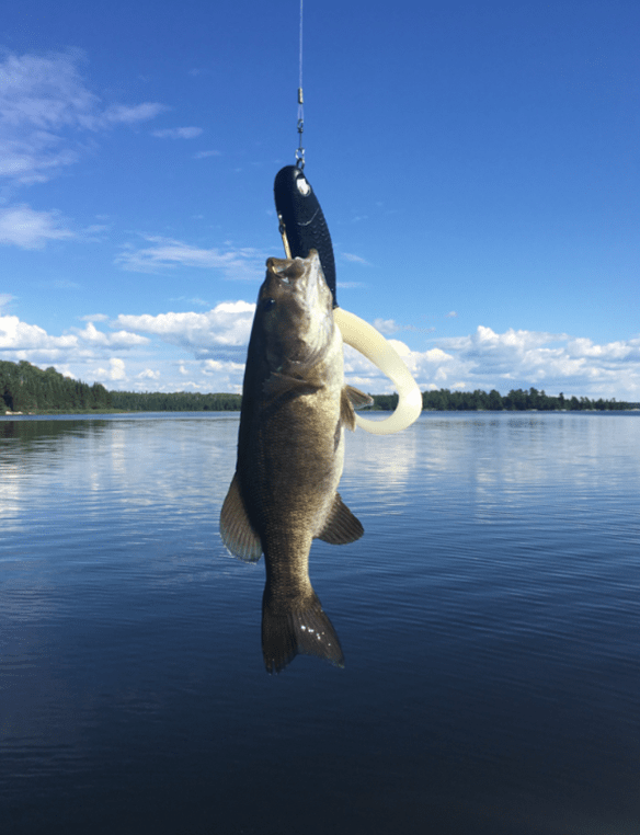 Fish In A Hook